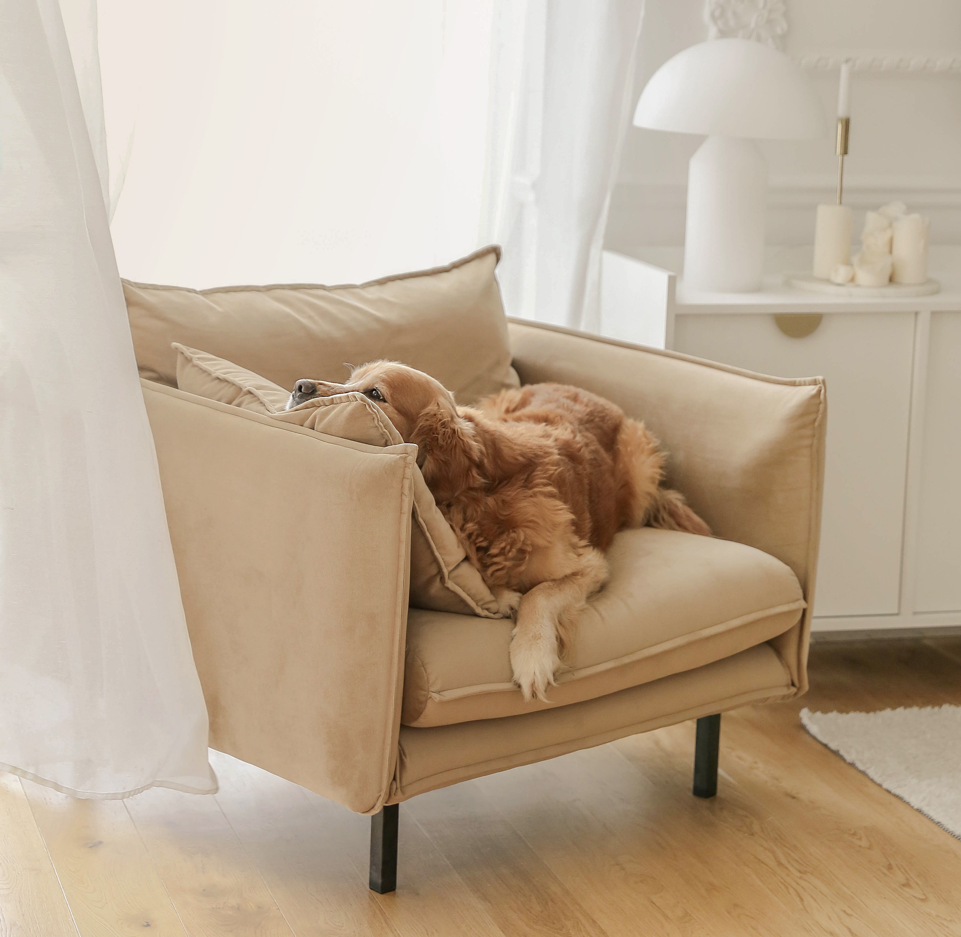 Light coloured furniture in your interior - it can work - even with children and pets!