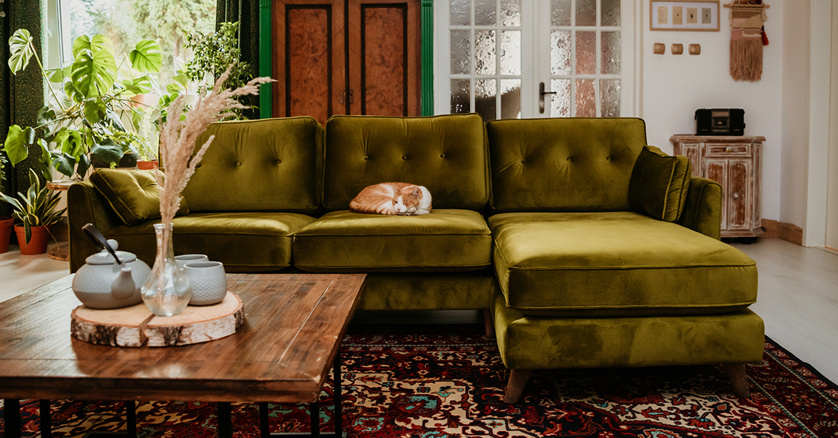 A sofa or a corner sofa what to choose? SLF24