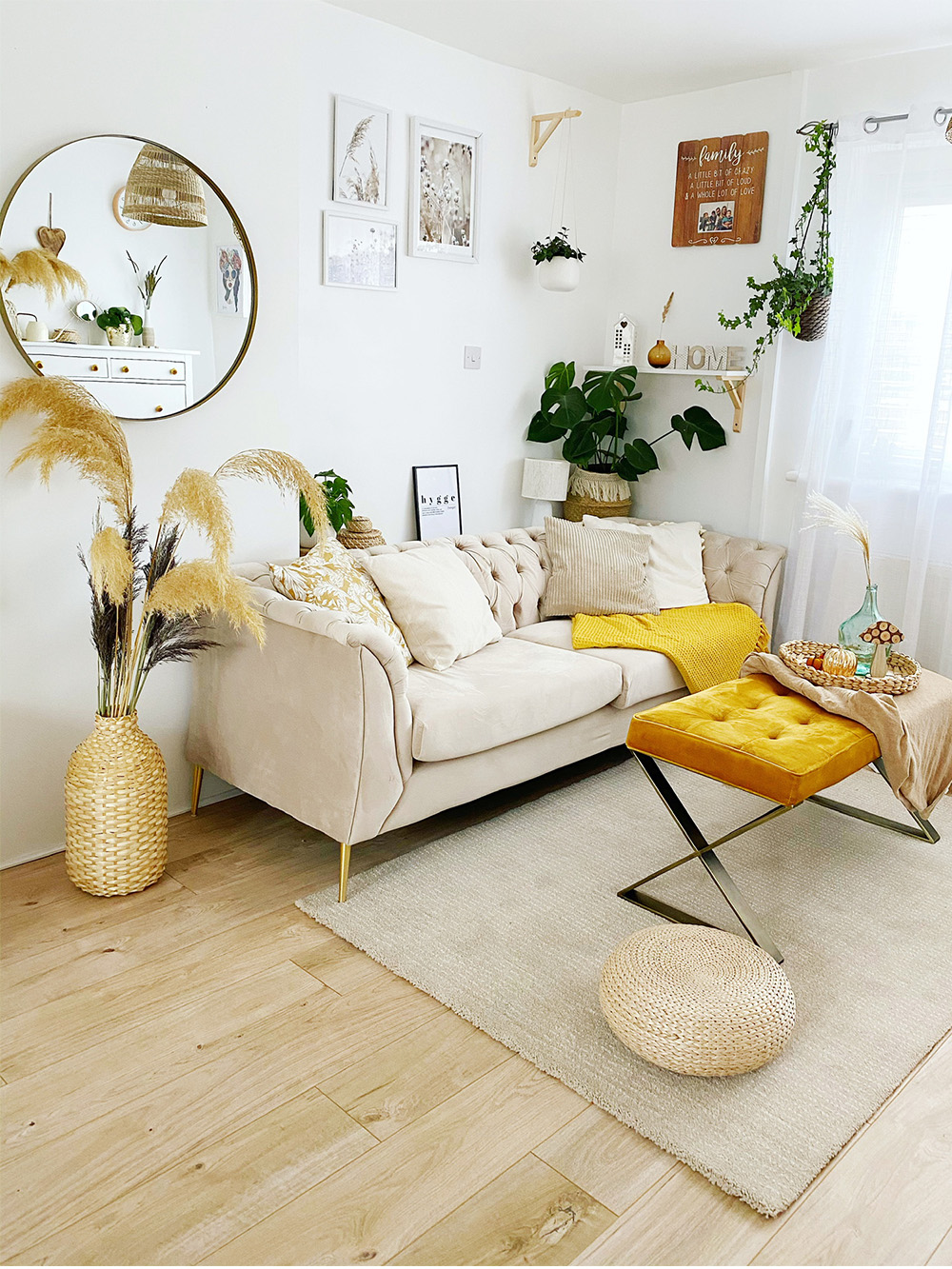 Chesterfield Modern beige velour sofa